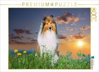 Calvendo Puzzle CollierüDe Im Sonnenuntergang | 2000 Teile Lege-GrößE 90 × 67 Cm