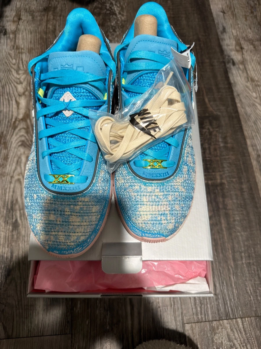 シューズ(男性用) Nike LeBron 20 \