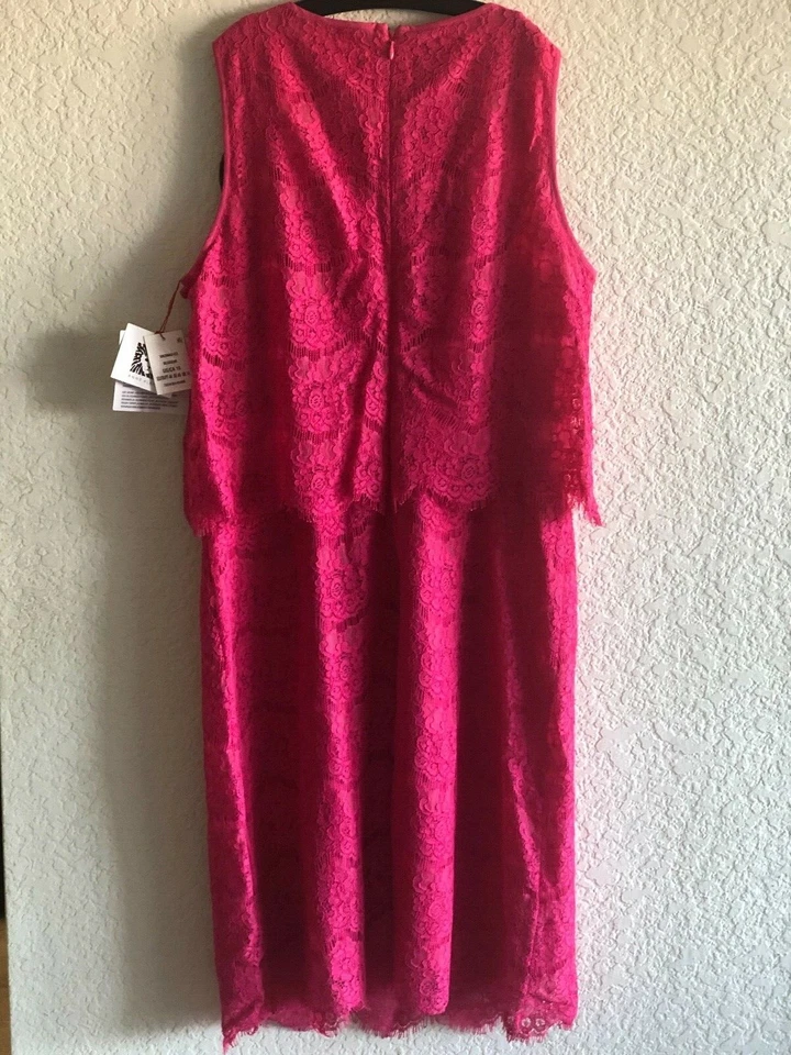 Nuevo con etiquetas Vestido Vaina Anne Klein Flor Rosa Vieira Encaje Pop Over Sin Mangas Talla 10 Foto 2 de 4