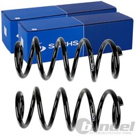 2X Sachs Fahrwerksfedern Satz Vorne Passend FÜR Audi A4 A6 A7 Links+Rechts |
