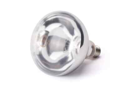 E27 Infrarot Wärmelampe Glühbirne weisslicht Infrared 250 W Weiss NEU