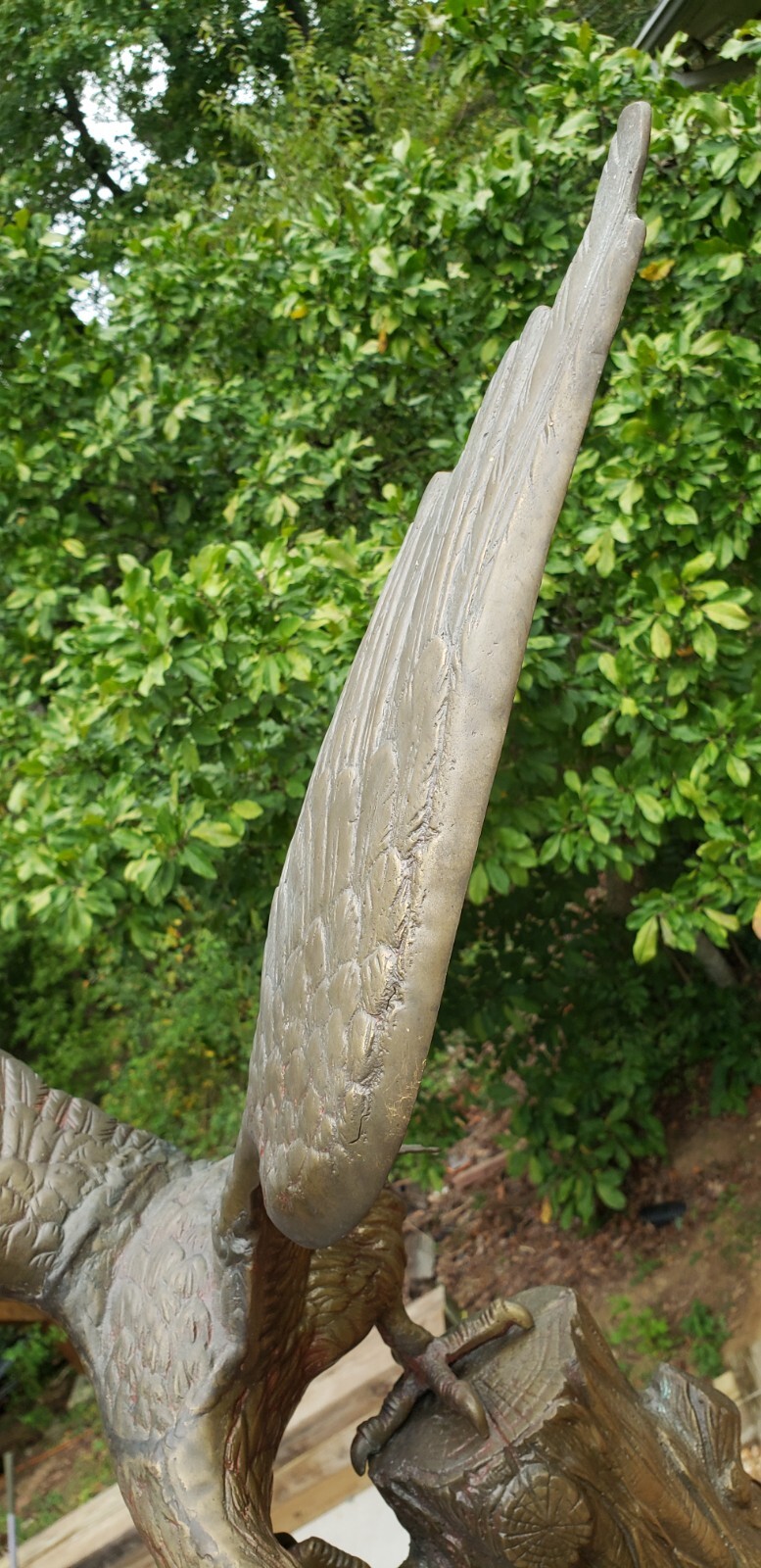 Picture 3 of 9