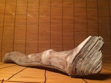 Beautiful 21" DRIFTWOOD Piece Art Terrarium Taxidermy Aquarium Reptile DECOR