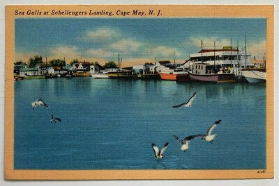 1952 NJ Postcard Cape May Sea Gulls at Schellengers Landing boats dock linen