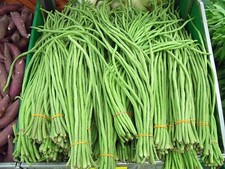 Asian Long Bean Seeds for Planting 30 Seeds - Fast Growing Variety Sweet Tende
