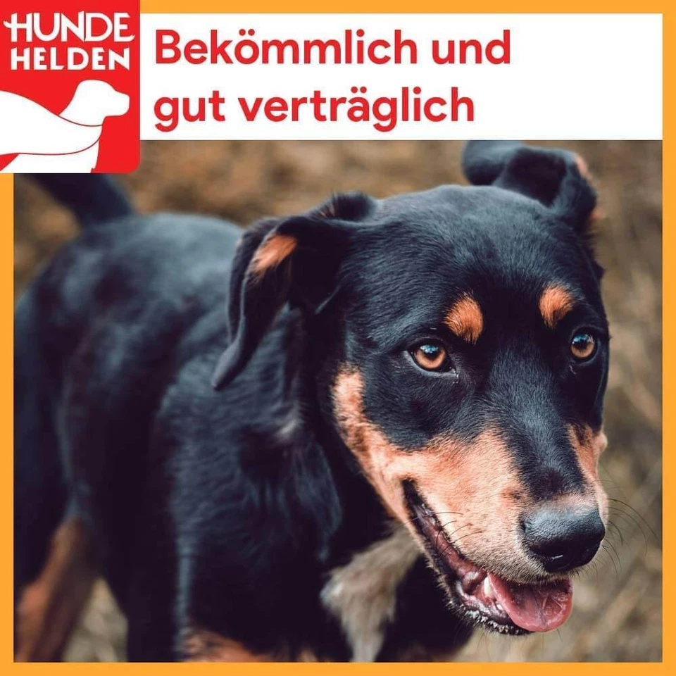 Getrocknete Schweineohren für Hunde | Deutsche Herstellung w. Pansen Rinderohr - Bild 3 von 4