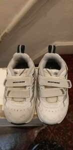 sketchers size 3