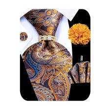 5PCS Mens Silk Designer Tie, Pocket Square, Gold Paisley Tie Set -328 7