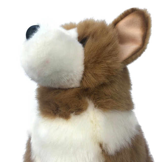 Douglas the cuddle toy stuffed Corgi dog plush animal children's toy hugging 10