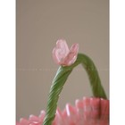 Photo 19/24