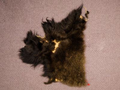 Real Buffalo Hide Project Piece 23'' x 18'' (149-CR-GP1088) Y1G