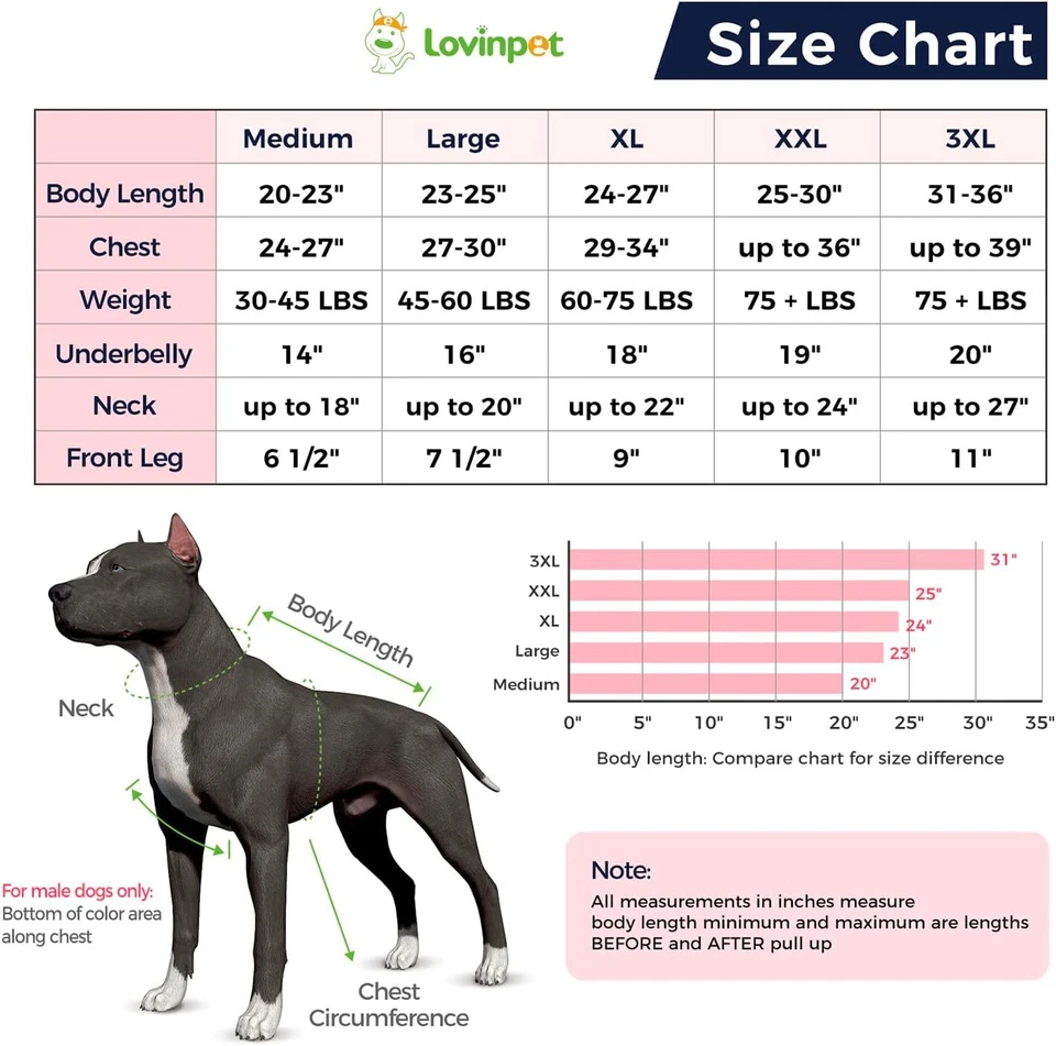 LovinPet Pet Pijama Perro Anti Lamidas Body para Herida Abdominal Después de la Cirugía Foto 2 de 4