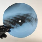 PINL FLOYD PAINT BOX X-Ray USSR Record Roentgen Bone Ribs Music Vinyl