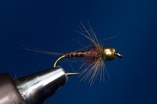 Fliegentom Nymph 3 pezzi "Biotbody" Ninfe marrone