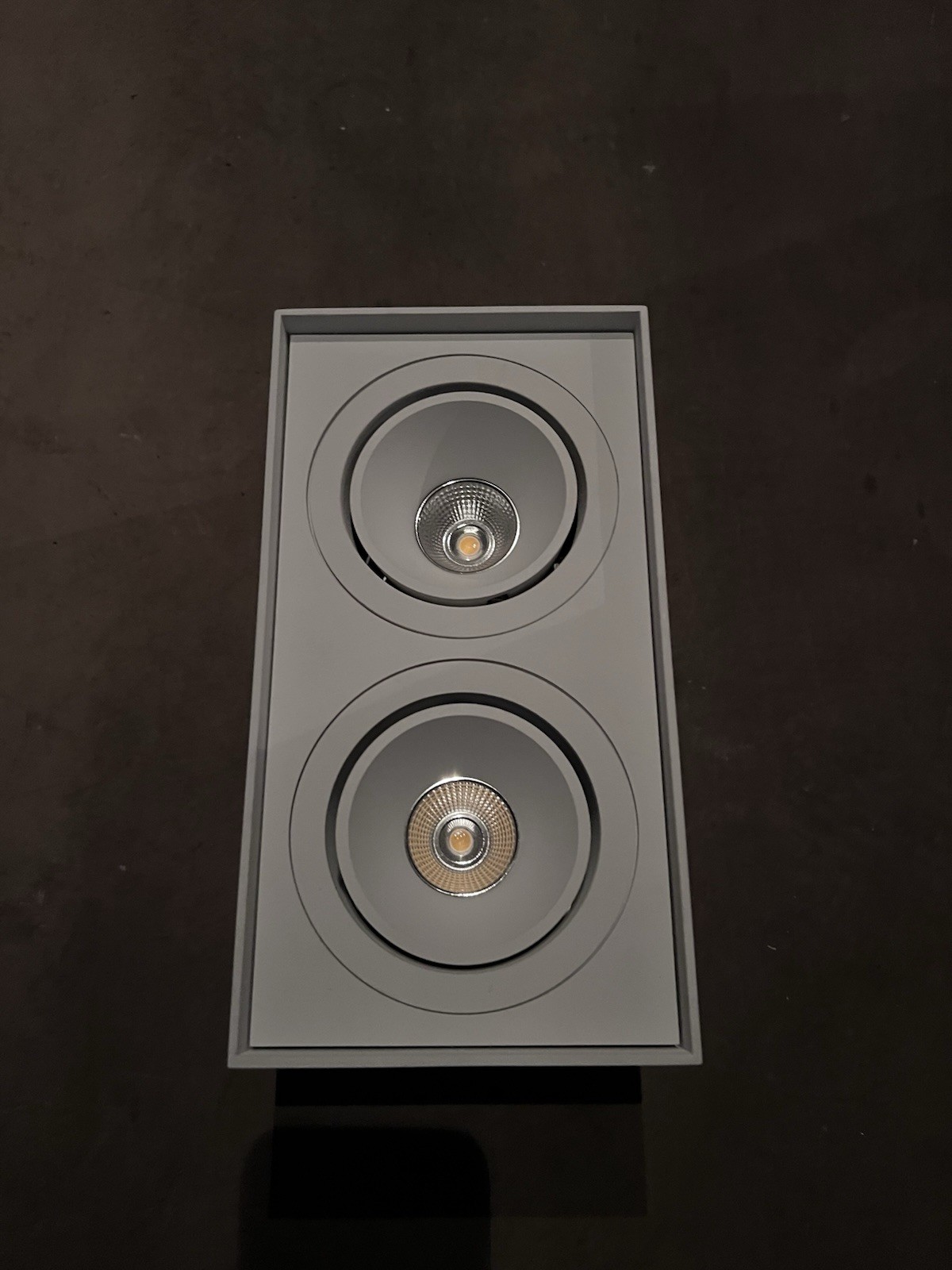 Surface Mounted Double “Speaker” Light