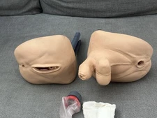 NASCO / LIFEFORM Geri Training Mannequin Genitals (Male + Female)