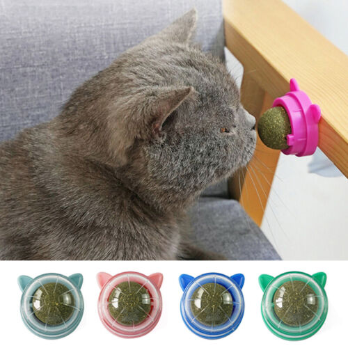 Jouets muraux rotatifs en boule d'herbe à chat dents naturelles saines pour chat llick〕 - Photo 1 sur 17