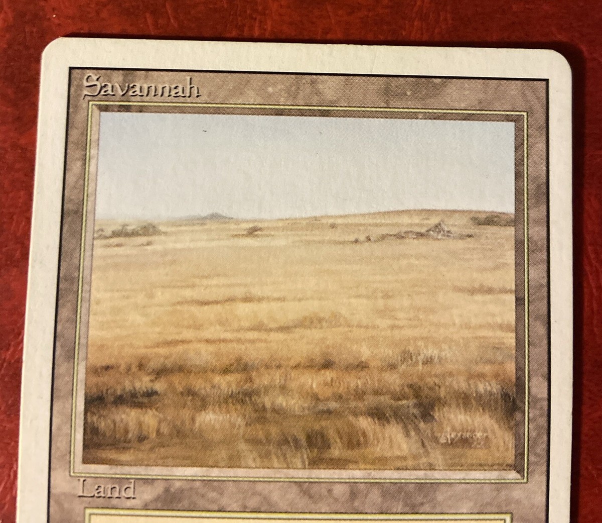 Savannah デゥアルランド MTG Magic The Gathering SAVANNAH Dual Land REVISED EDITION