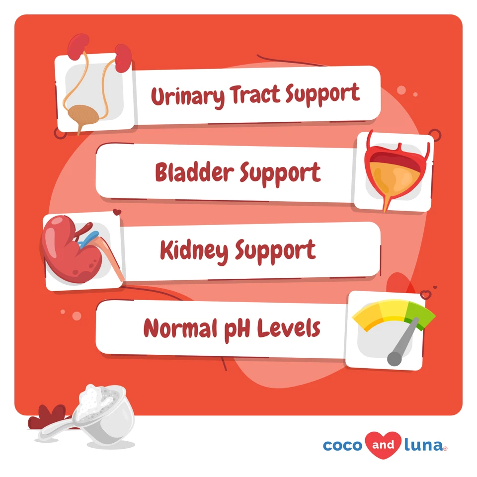 Arándano para gatos soporte para incontinencia, soporte del tracto urinario, infección urinaria de gato, vejiga Foto 2 de 4