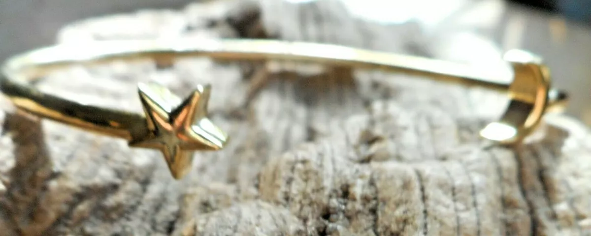 Alex and ani deals 14k gold bracelets