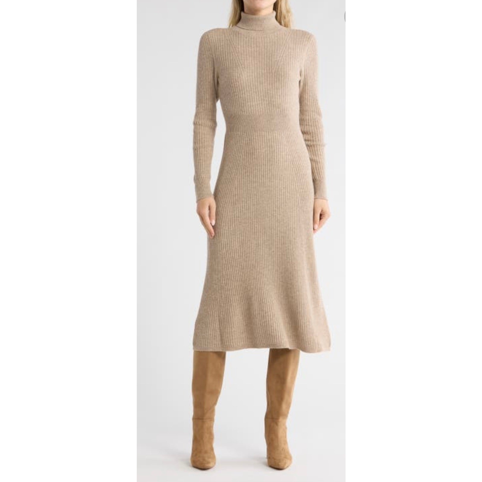 Diana Long Sleeve Wool Turtleneck Sweater Dress