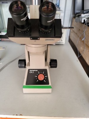 Olympus CK2 Inverted Phase Microscope mit ULWCD 0,3 10x Okulare, A10PL & A20PL 