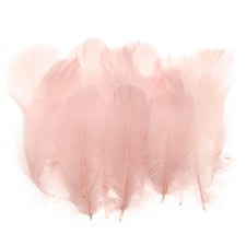 Colorful Feathers 3-5inch, 300pcs Goose Feathers Bulk, Champagne