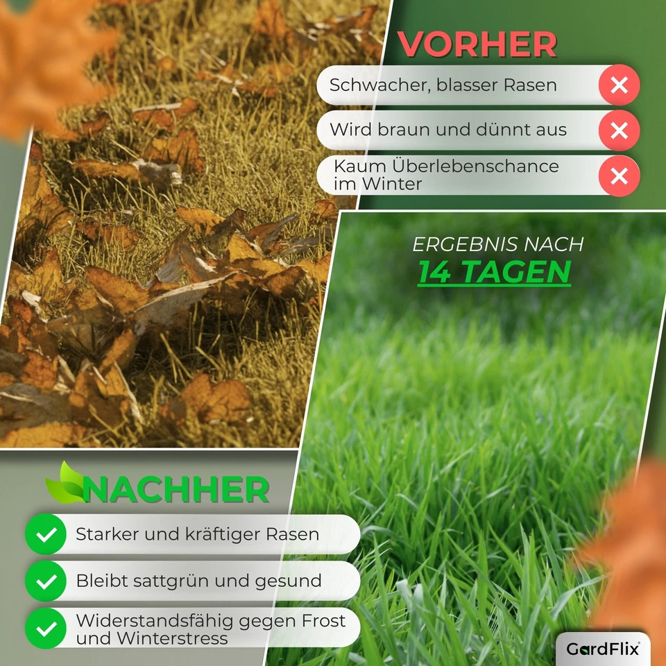 Herbstrasendünger Langzeitwirkung für Winterfesten Rasen |  2,5kg 5kg 10kg 20kg - Bild 2 von 4
