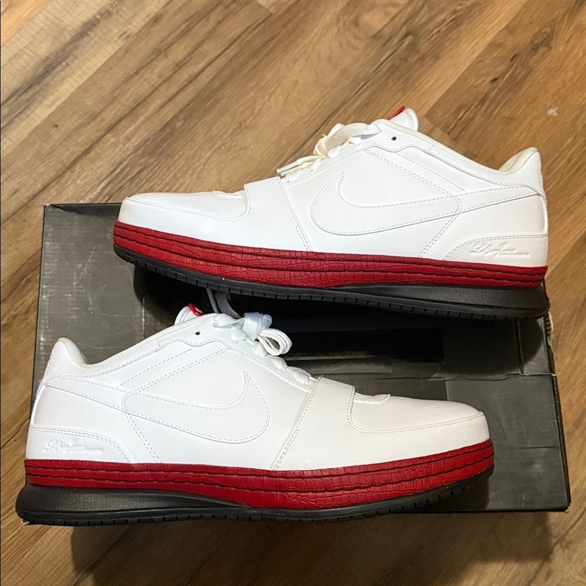 2009 Nike LeBron 6 Low 