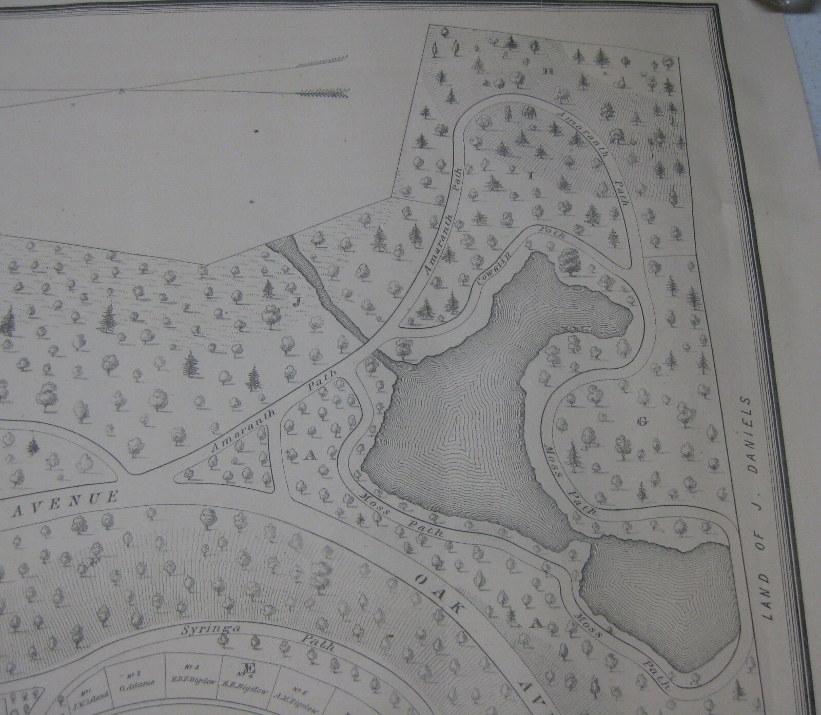 Picture 8 of 10