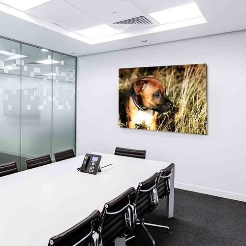 Amerikanische Staffordshire Terrier AK Art Bilder Kunstdruck Leinwandbilder XXL - Bild 4 von 5