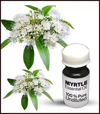 Myrtle Essential Oil 100% Pure Undiluted (10ML-500ML)