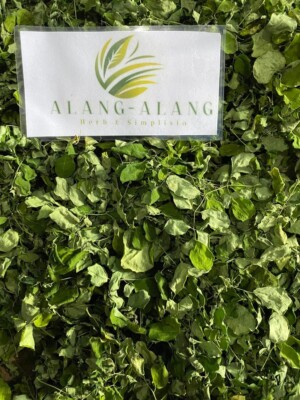Daun Kelor - Moringa Oleifera Dried Leaves