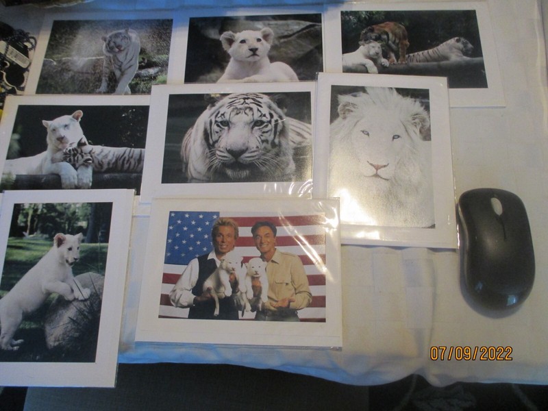 8 VTG NEW SEALED Siegfried & Roy souvenir set TIGER Greeting Cards The Mirage LV