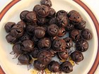 Metal Pumpkin Bells 1" Vintage rustic rusty Halloween Jack o Lantern 6 12 25