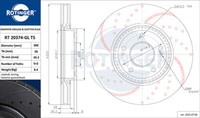 Rotinger 2X Bremsscheibe Vorne Ø300 Mm Gelocht BelüFtet FüR Hyundai IX35 LM