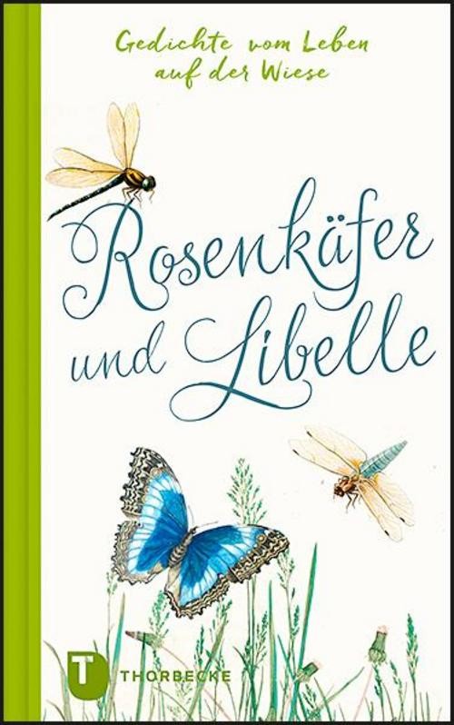 Thorbecke Jan Verlag Rosenkäfer Und Libelle - Bild 2