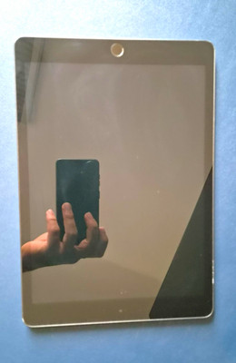 Apple iPad Serie Apple iPad Tablet in Grau
