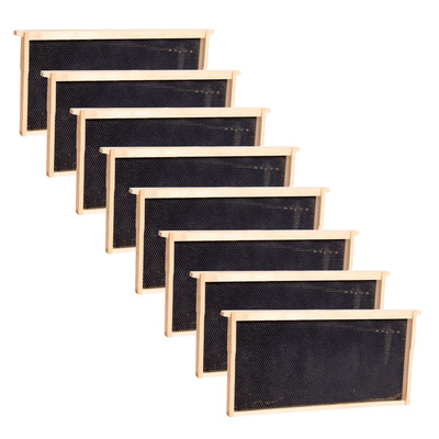 Beekeeping Deep Beehive Frame, Waxed Plastic Foundation, Amish Made, Set of 8