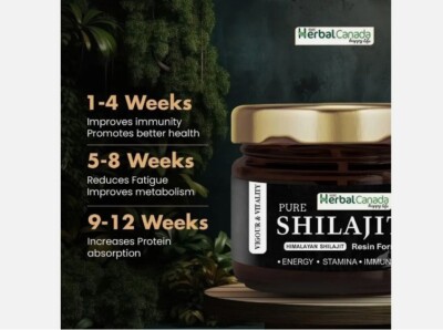 Resina Shilajit HIMALAYANA Pura Biologica Al 100% + Cucchiaio Misurino - Foto 5
