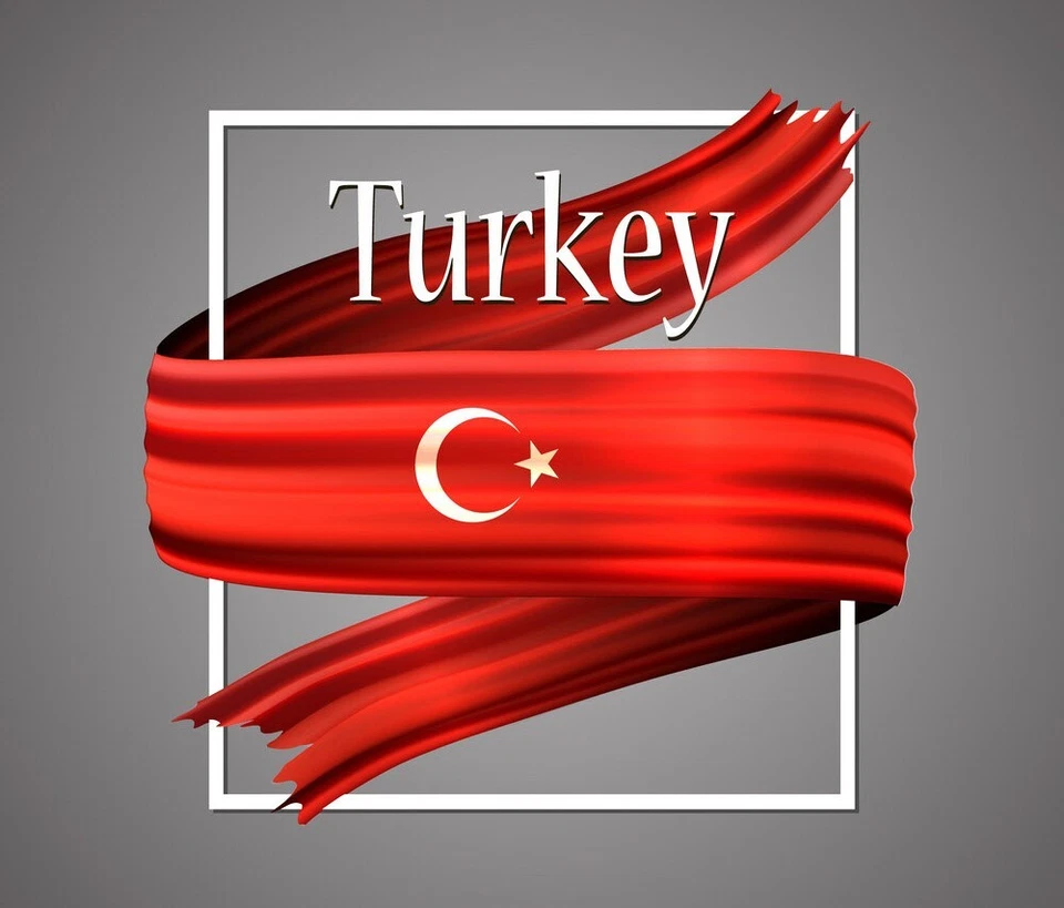 TURKEY 1 LIRA 2016 COMM BiMETAL UNC COIN IN MEMORY OF 15th JULY MARTYRS&VETERANS - Image 4 of 4