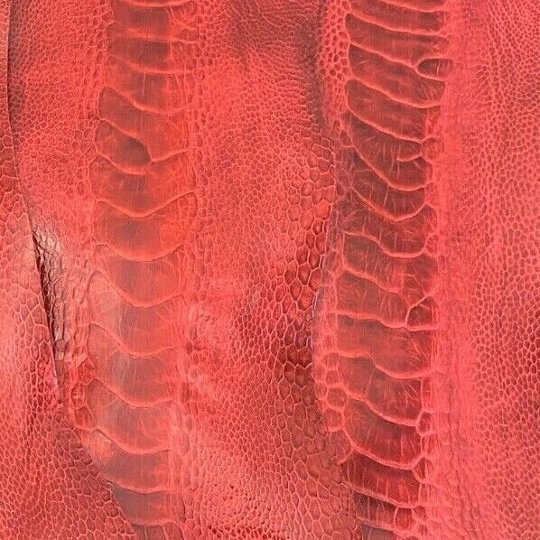 5 Ostrich legs Leather Scarlet Red GL Colors G.B (%100 Natural Genuine Hide)  - Image 3 of 4