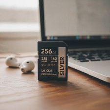 256GB Professional Silver SD Card, UHS-I, C10, U3, V30, 4K, Up to 225/160 MB/...