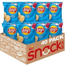 Lays Salt Vinegar Flavored Potato Chips 1 Ounce Pack of 40