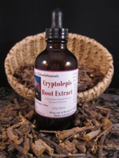 CRYPTOLEPIS SANGUINOLENTA EXTRACT TINCTURE 4 OZ Dropper Bottle