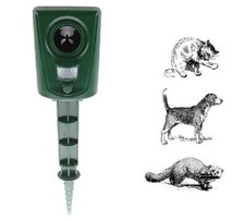 Repellente dissuasore ultrasuoni cani / gatti / faine / martora / cinghiale -...