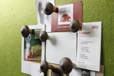 QUALY SHIITAKE (MAGNET)
