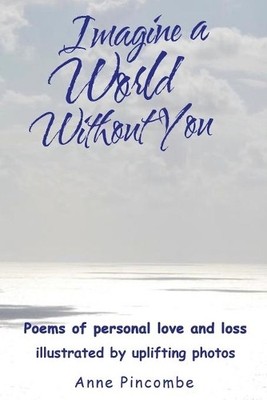 Anne Pincombe Imagine a World Without You (Taschenbuch)