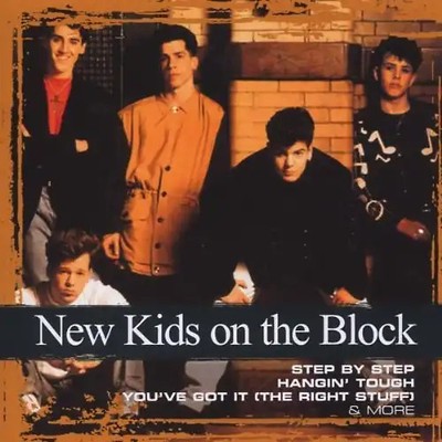 New Kids on the Block - Collections ZUSTAND SEHR GUT