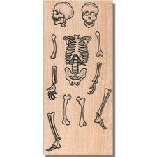 Mounted Rubber Stamp, SKELETON PARTS, Halloween,Skull,Bones,Spooky,Scary,Head,wm